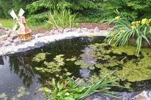 Teichbau und Sanierung - Tief- und Erschließungsbau Schatlowski