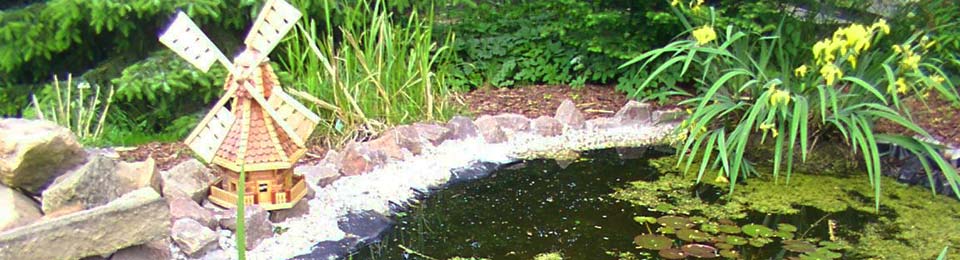 Teichbau und Sanierung