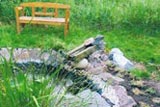 Teichbau und Teichsanierung