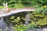 Teichbau und Teichsanierung